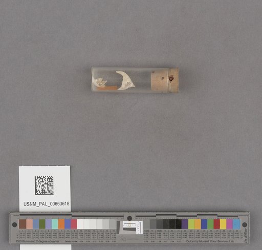 NSF ADBC EPICC TCN