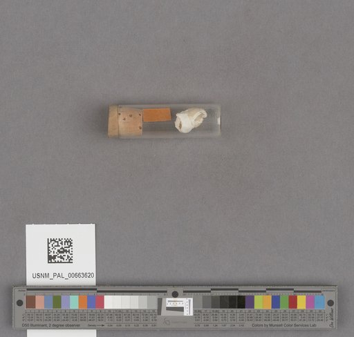 NSF ADBC EPICC TCN