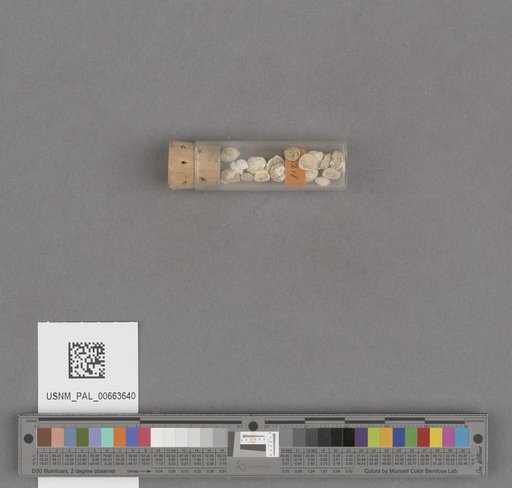 NSF ADBC EPICC TCN