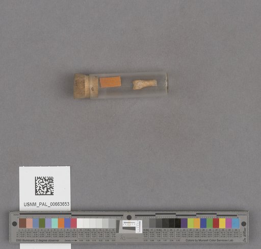 NSF ADBC EPICC TCN