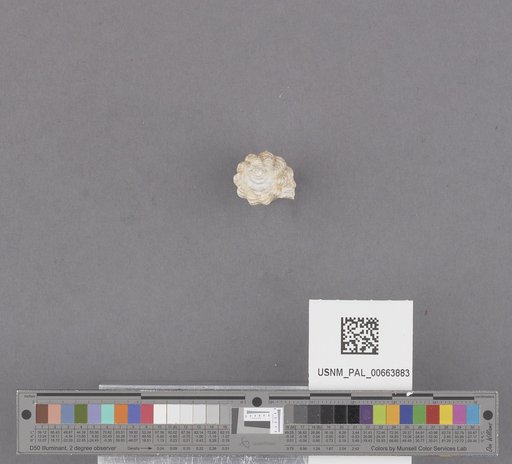 NSF ADBC EPICC TCN