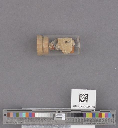 NSF ADBC EPICC TCN