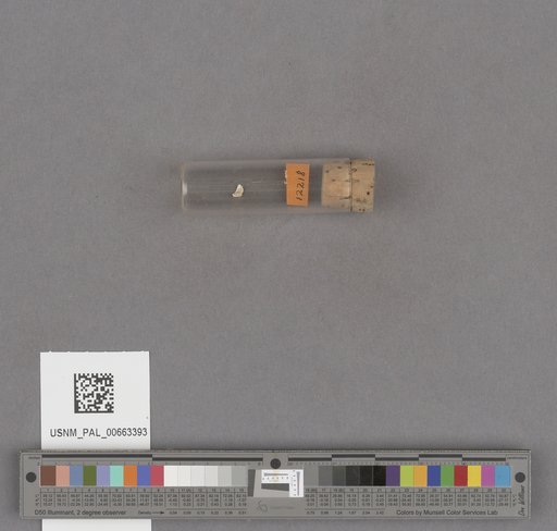 NSF ADBC EPICC TCN