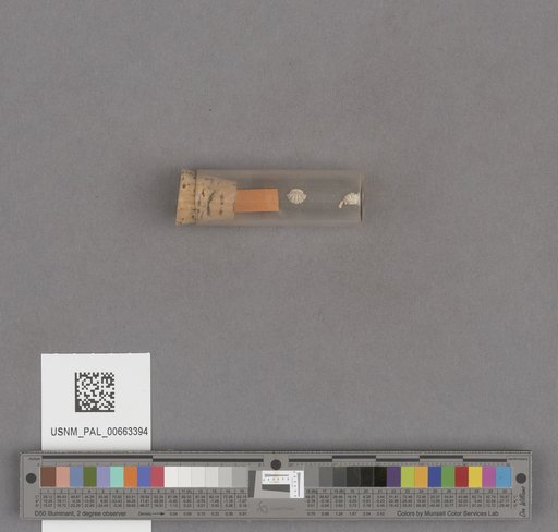 NSF ADBC EPICC TCN