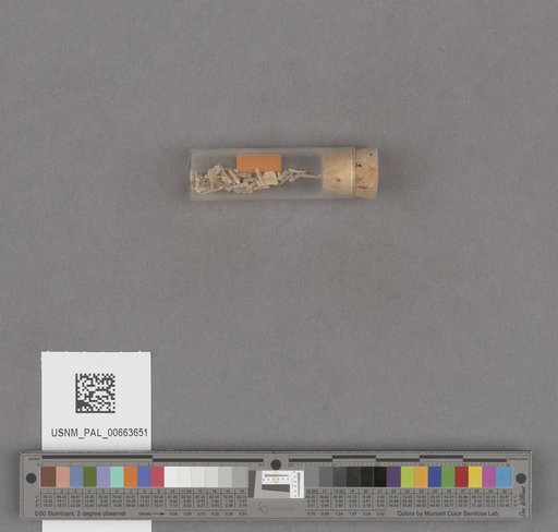 NSF ADBC EPICC TCN