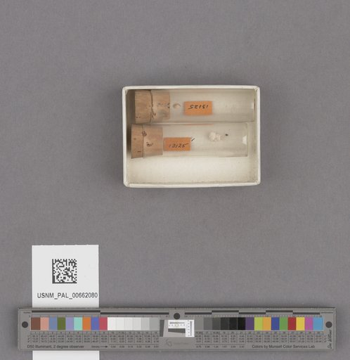 NSF ADBC EPICC TCN
