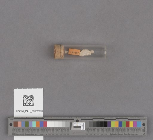 NSF ADBC EPICC TCN