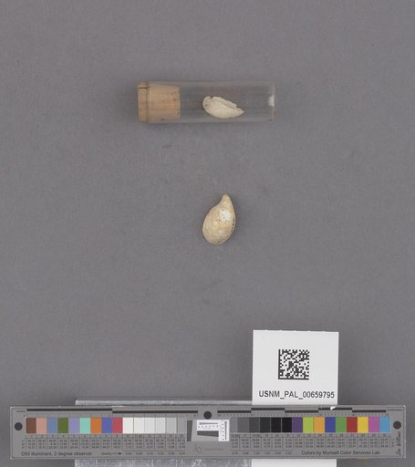 NSF ADBC EPICC TCN
