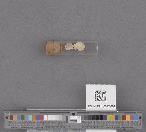 NSF ADBC EPICC TCN