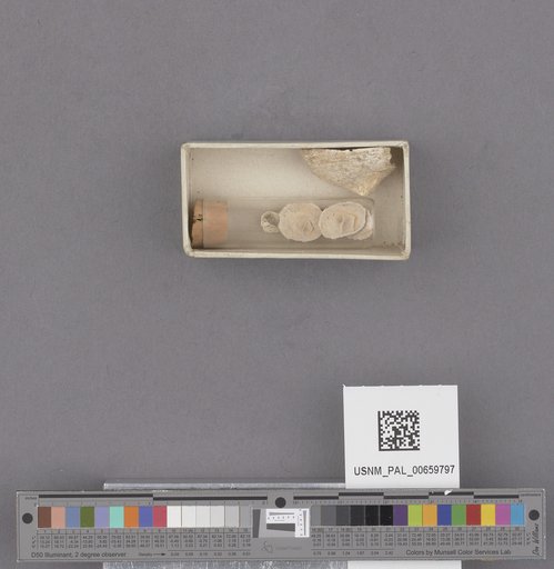 NSF ADBC EPICC TCN