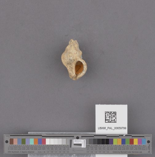 NSF ADBC EPICC TCN