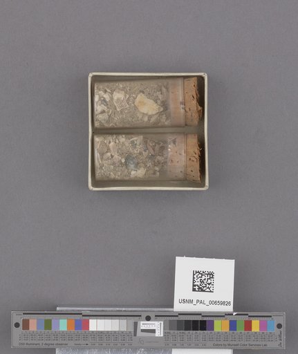 NSF ADBC EPICC TCN