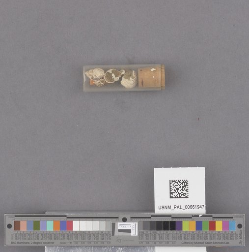 NSF ADBC EPICC TCN
