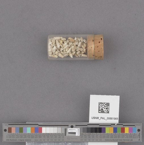 NSF ADBC EPICC TCN