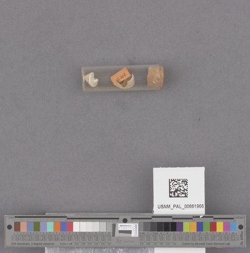 NSF ADBC EPICC TCN