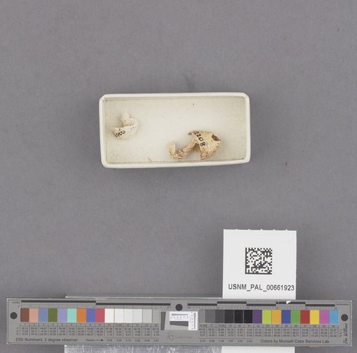 NSF ADBC EPICC TCN