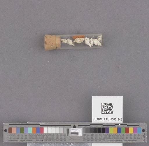 NSF ADBC EPICC TCN