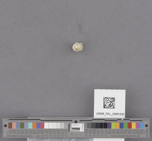 NSF ADBC EPICC TCN