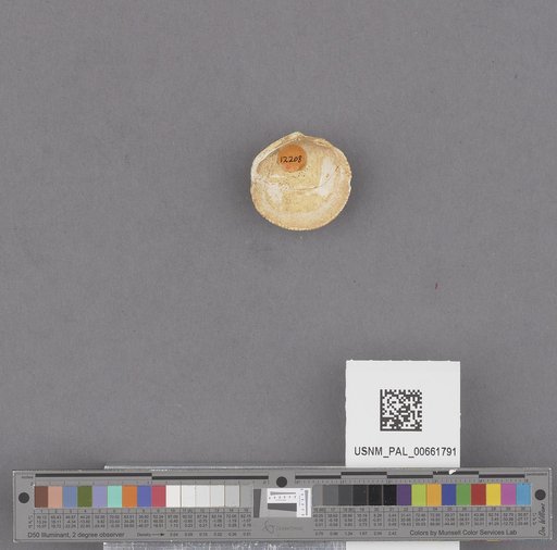 NSF ADBC EPICC TCN
