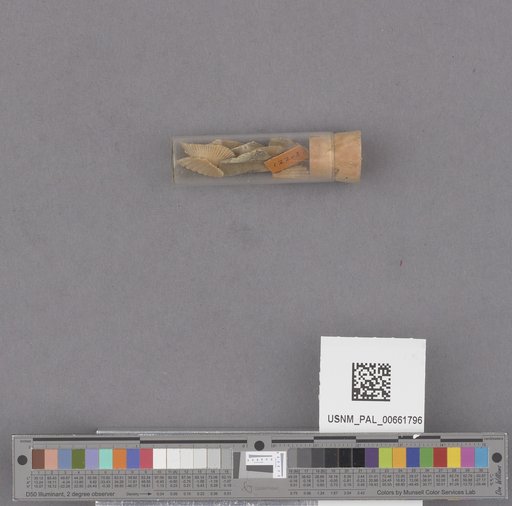 NSF ADBC EPICC TCN