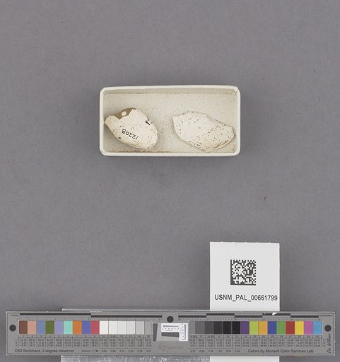 NSF ADBC EPICC TCN