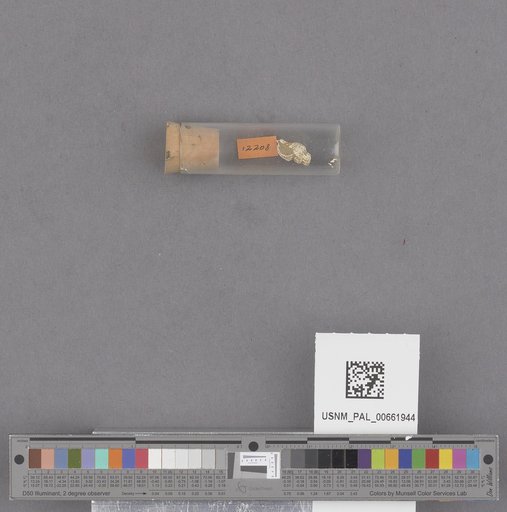 NSF ADBC EPICC TCN