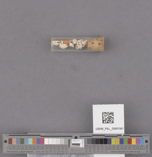 NSF ADBC EPICC TCN