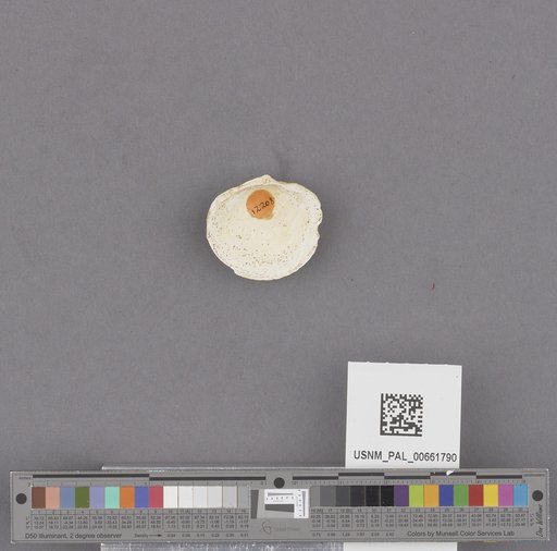 NSF ADBC EPICC TCN