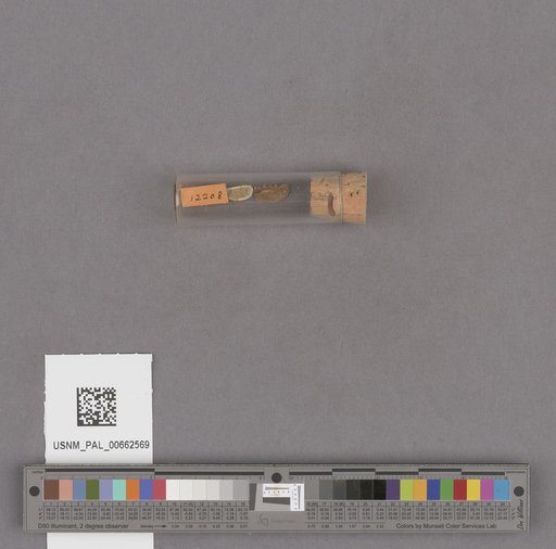 NSF ADBC EPICC TCN