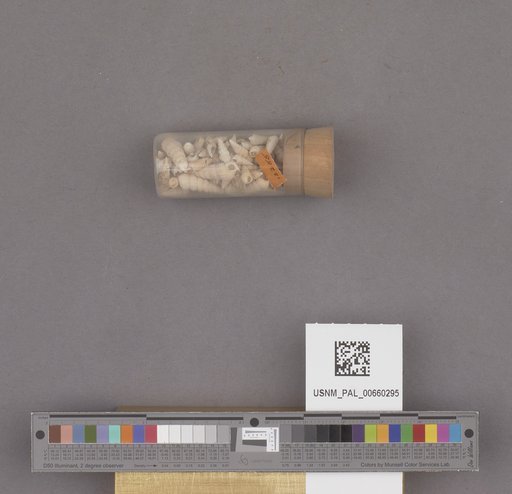 NSF ADBC EPICC TCN