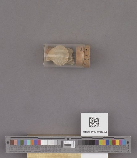 NSF ADBC EPICC TCN