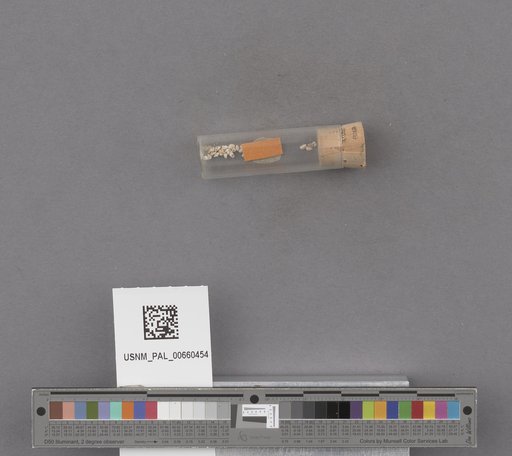 NSF ADBC EPICC TCN