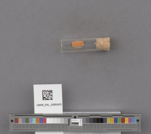 NSF ADBC EPICC TCN