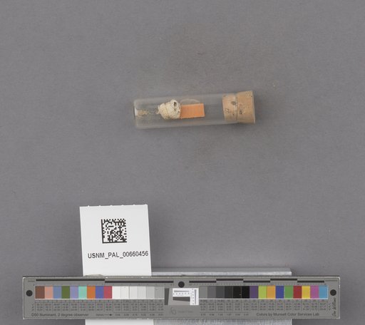 NSF ADBC EPICC TCN