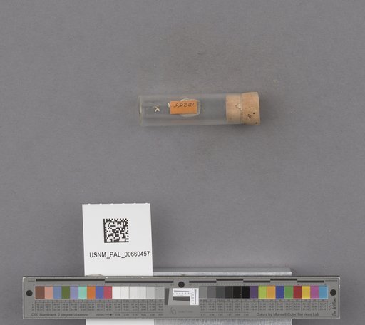 NSF ADBC EPICC TCN