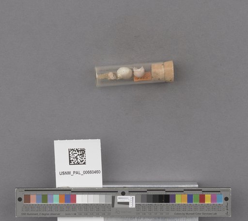 NSF ADBC EPICC TCN