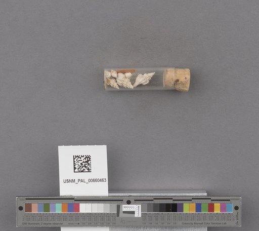 NSF ADBC EPICC TCN