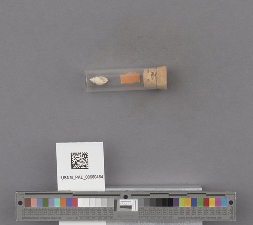 NSF ADBC EPICC TCN