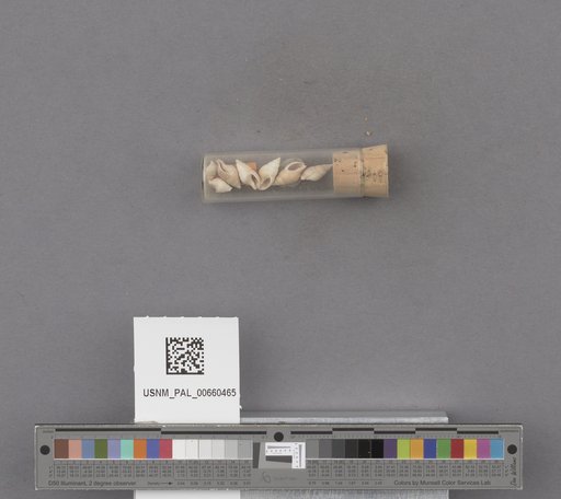 NSF ADBC EPICC TCN