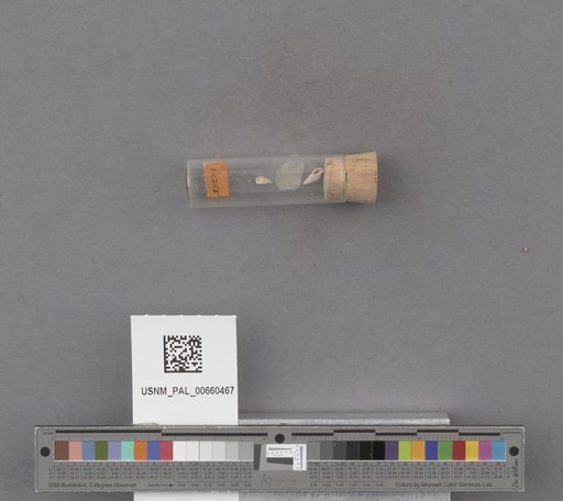 NSF ADBC EPICC TCN