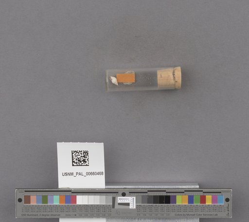 NSF ADBC EPICC TCN