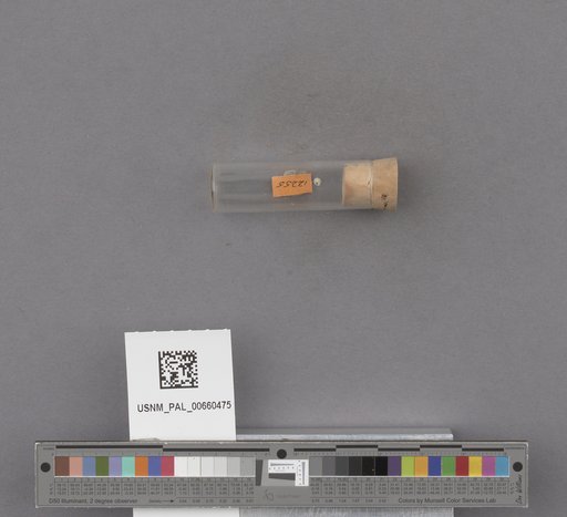 NSF ADBC EPICC TCN