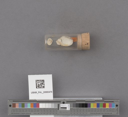 NSF ADBC EPICC TCN