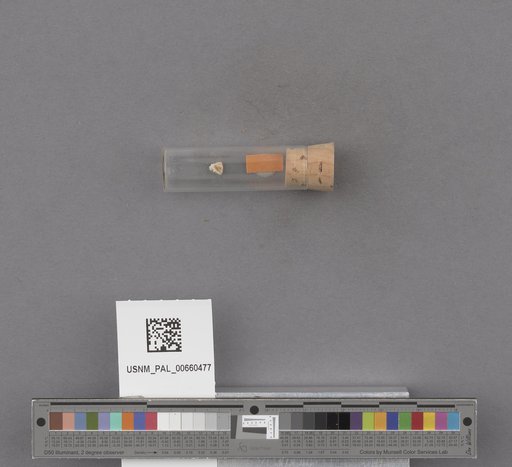 NSF ADBC EPICC TCN