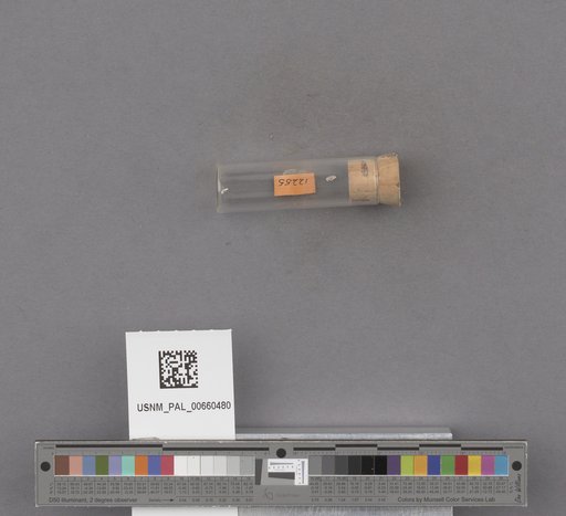 NSF ADBC EPICC TCN