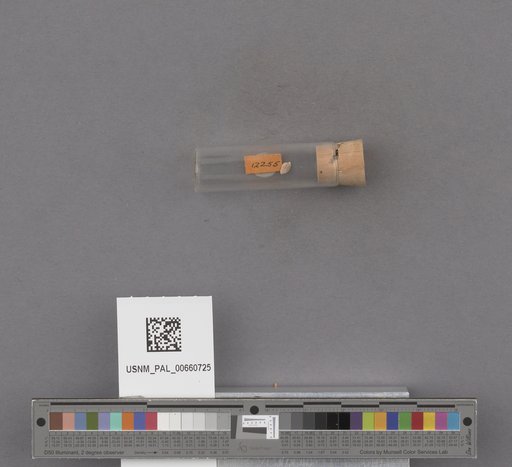 NSF ADBC EPICC TCN