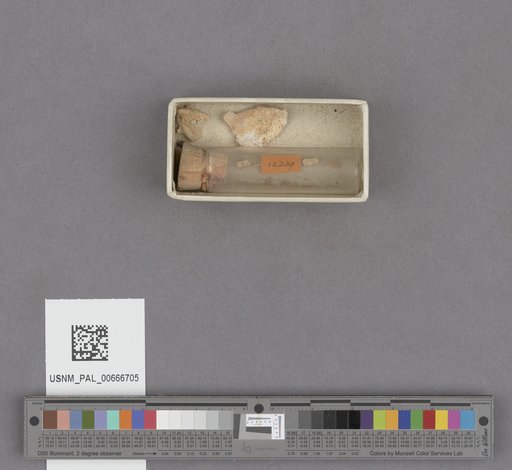 NSF ADBC EPICC TCN