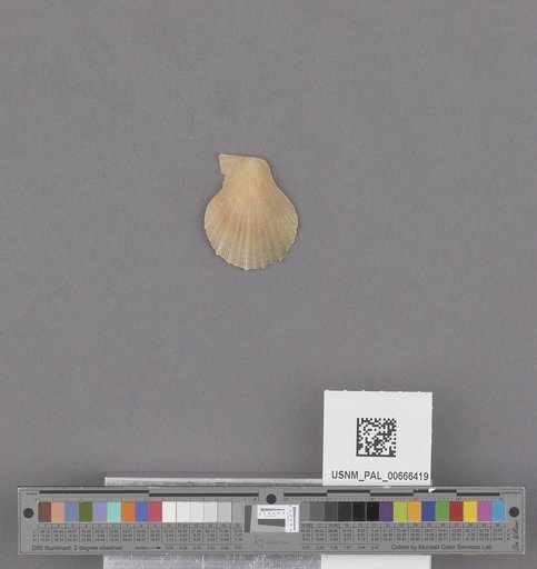 NSF ADBC EPICC TCN