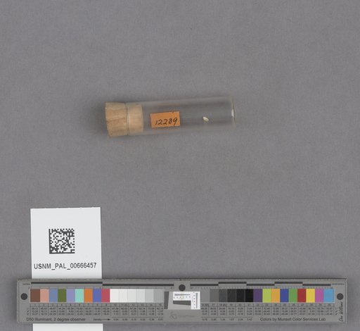 NSF ADBC EPICC TCN