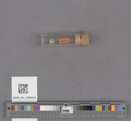NSF ADBC EPICC TCN